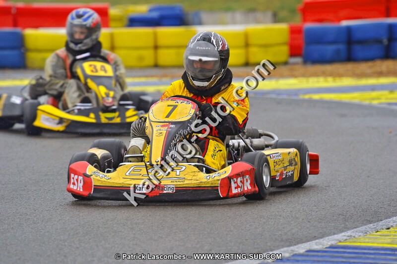 DSC_ (961).jpg